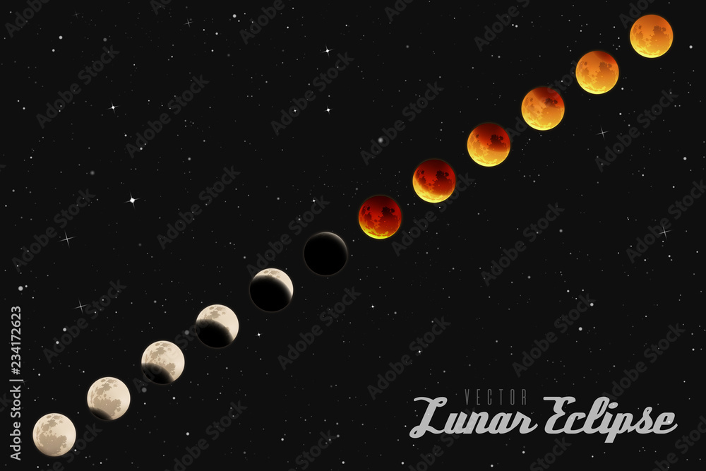 Vector illustration with different phases of lunar eclipse. Space background with full moon in night starry sky. White and yellow Earth Satellite.