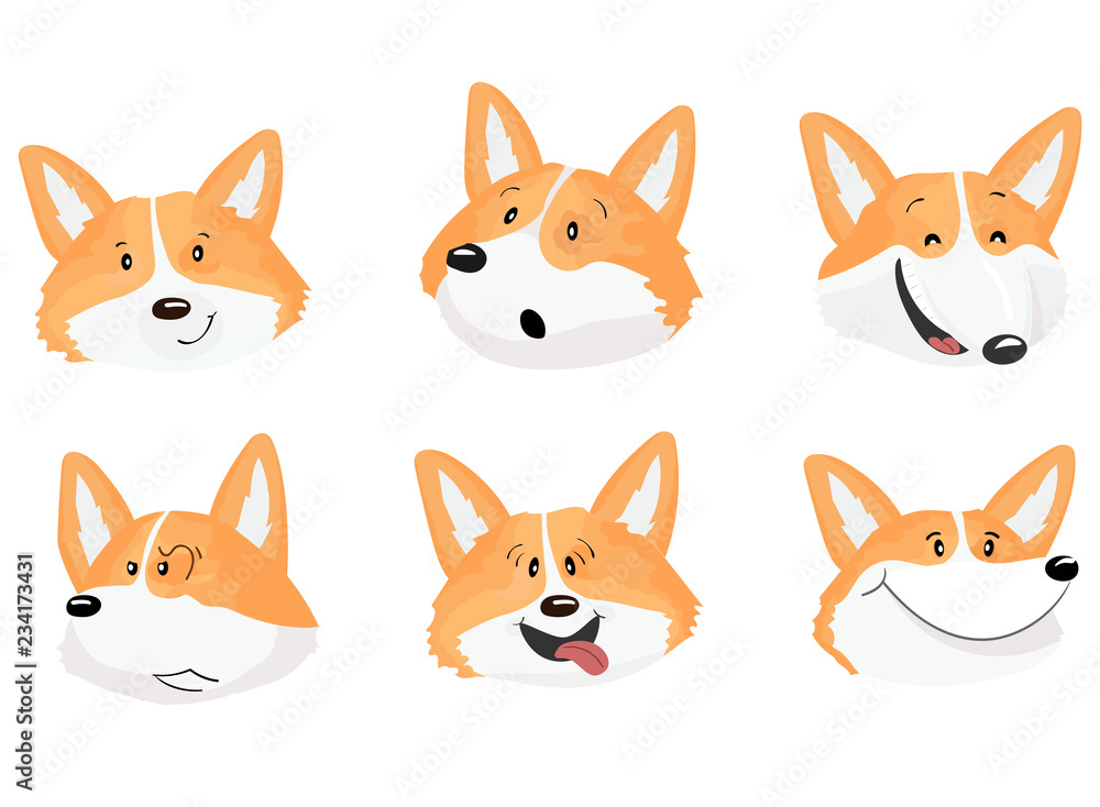 Fototapeta premium Set of six emotional faces of corgi dog.