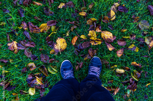 Person shoes on grass with fall leafs