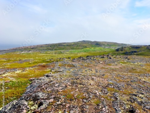 Rundra landscape in northern Russia