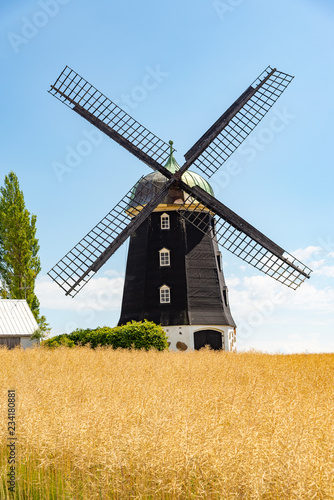 Wheat windmill. Harvest concent. The Stock Photo.