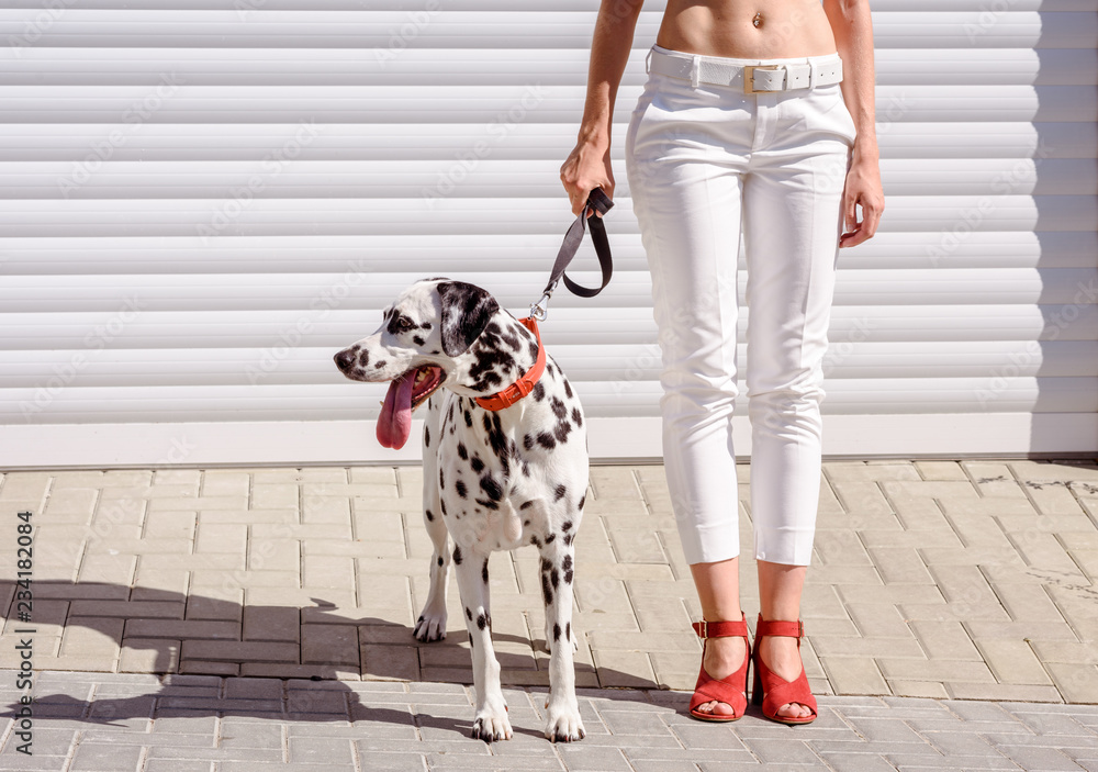 Woman in red boots walking with a dalmatian dog on the roller shutters background. Feet and legs
