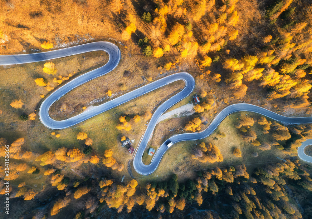 Aerial view of the winding road in autumn forest at sunset in mountains. Top view of perfect asphalt roadway and orange trees. Highway through the woodland in fall. Trip in europe. Travel and nature