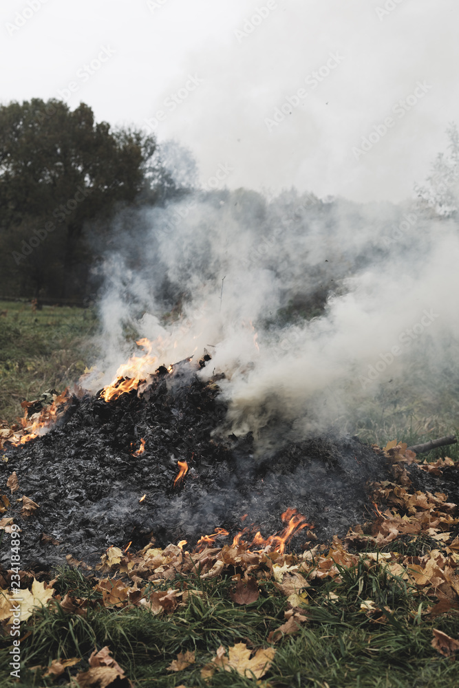   Burning natural biomass made of tree leaves as air pollution concept