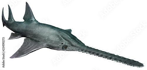 Onchopristis from the Cretaceous era 3D illustration