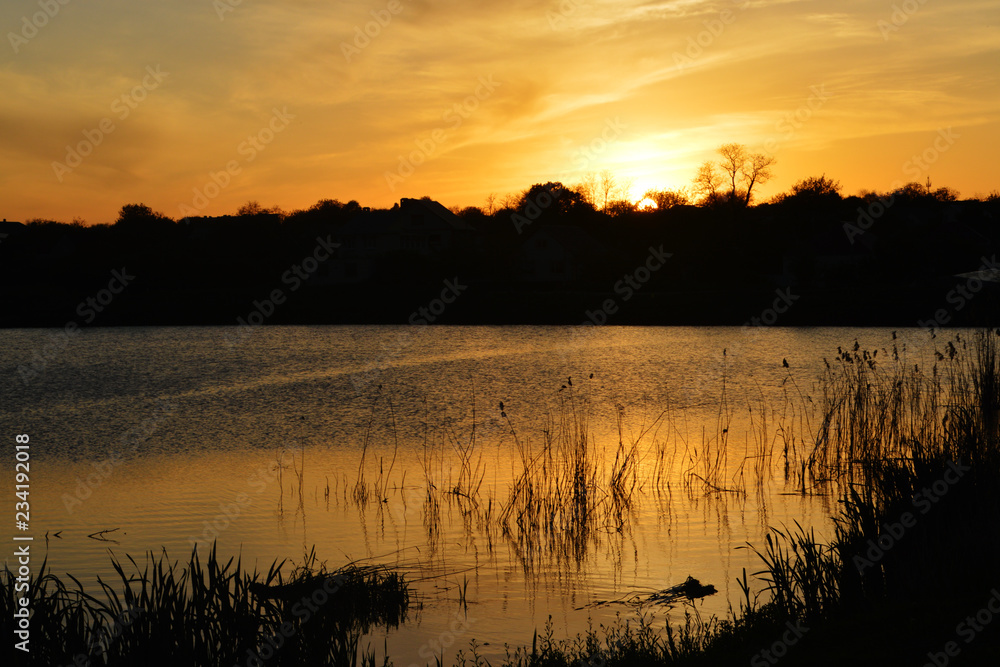 Obraz premium Природа