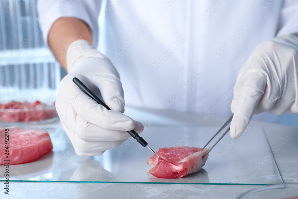 Scientist inspecting meat sample in laboratory, closeup. Food quality control Scientist inspecting meat sample in laboratory, closeup. Food quality control