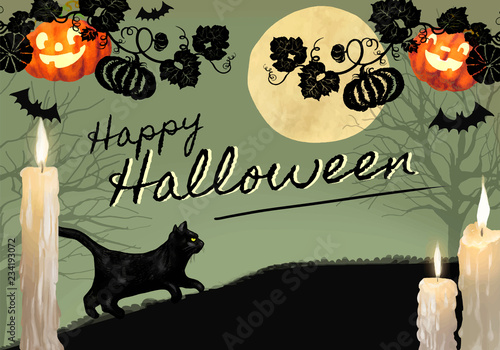 Illustration of black cat for Halloween themed background