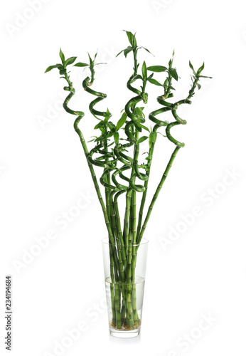 Vase with green bamboo on white background