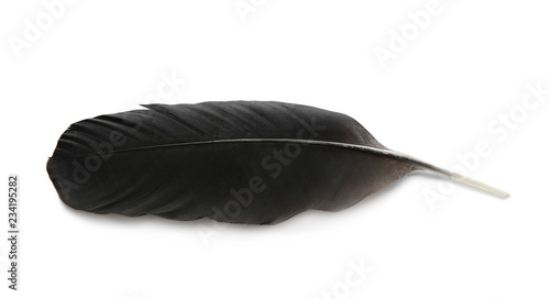 Feather pen on white background, top view