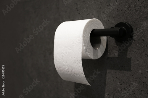 Toilet paper holder with roll mounted on dark wall