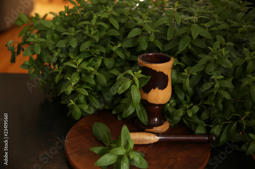  mortar and pestle with herbs and spices