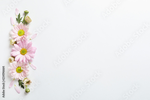 Fototapeta Naklejka Na Ścianę i Meble -  Beautiful chamomile flowers on white background, flat lay with space for text