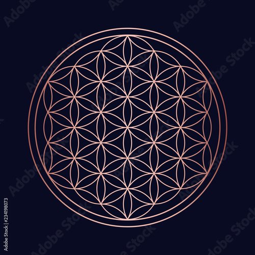 Sacred geometry copper mandala circle design