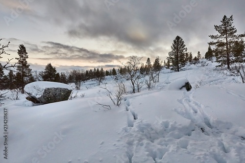 Winter Snowy Landscape © Gudellaphoto