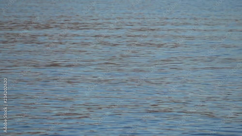 Blue rippling water with reflections Blue rippling water with reflections