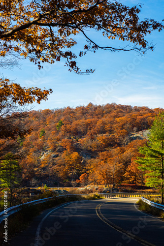 Curved road in Harriman State Park during Fall season