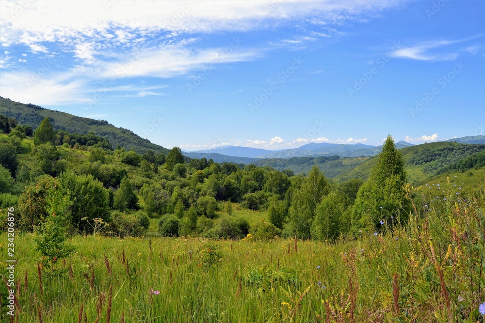 Nature Nature