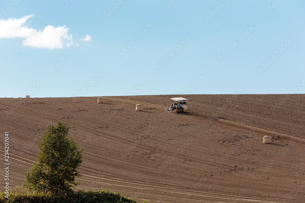 Obraz premium 北海道美瑛の風景