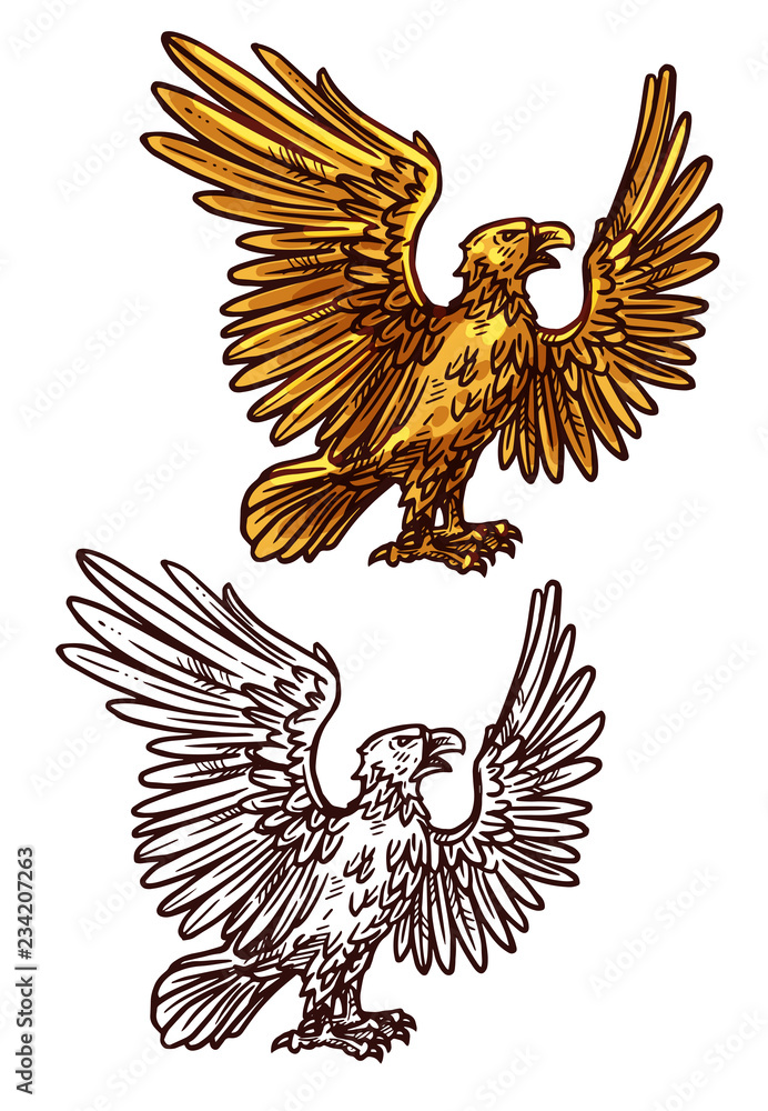 Fototapeta premium Hawk or eagle, heraldic golden bird, vector