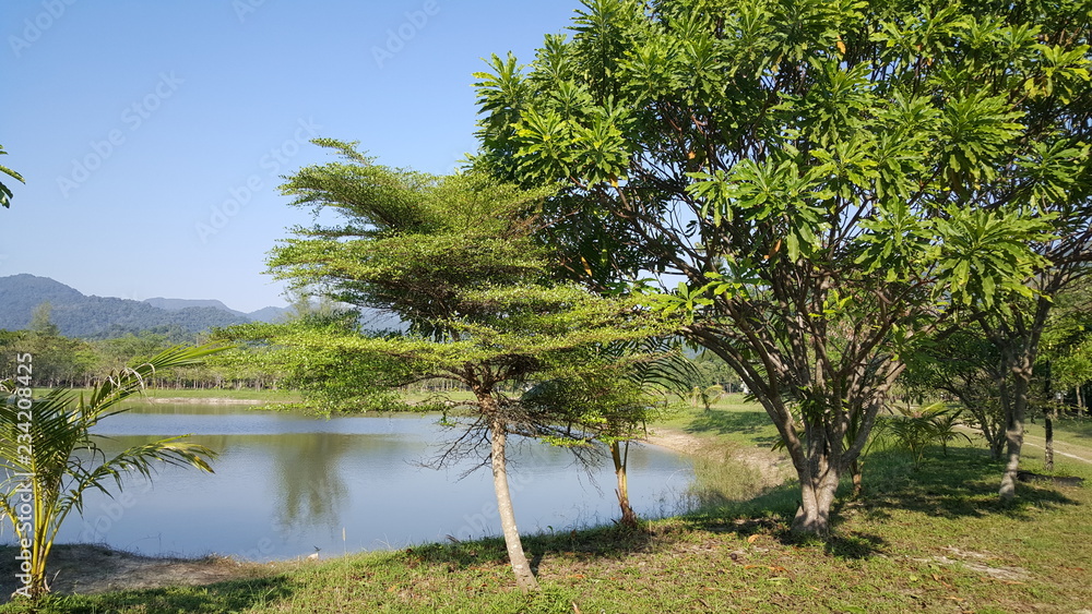 Koh Chang landscape