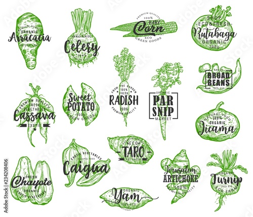 Exotic vegetable silhouettes with lettering photo