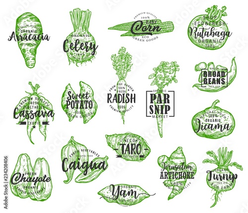 Exotic vegetable silhouettes with lettering