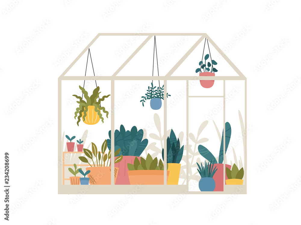 Greenhouse with potted and hanging garden plants vector illustration, cute Scandinavian Hygge style.Glass green house seasonal greeting card.Conservatory with growing plants in pots and planters