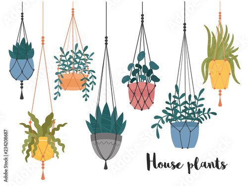 Set of macrame hanging plants in pots. Hangers with potted indoor garden flowers. Handmade home decorations made of cotton rope or cord.Hand drawn cartoon,Scandinavian Hygge style.Vector illustration