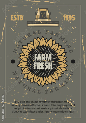 Farm retro poster. Vector sunflower and harvester