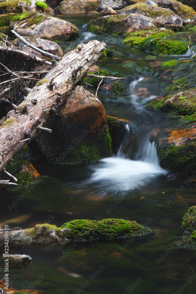 Fototapeta premium A creek with clear water in a mountainous area closeup.