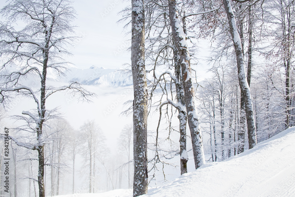 Fototapeta premium natural landscape mountains