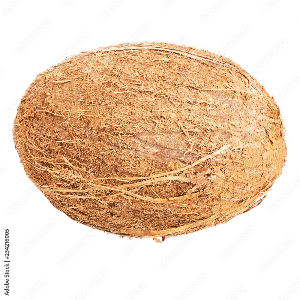 Coco it is isolated on a white background Coco it is isolated on a white background