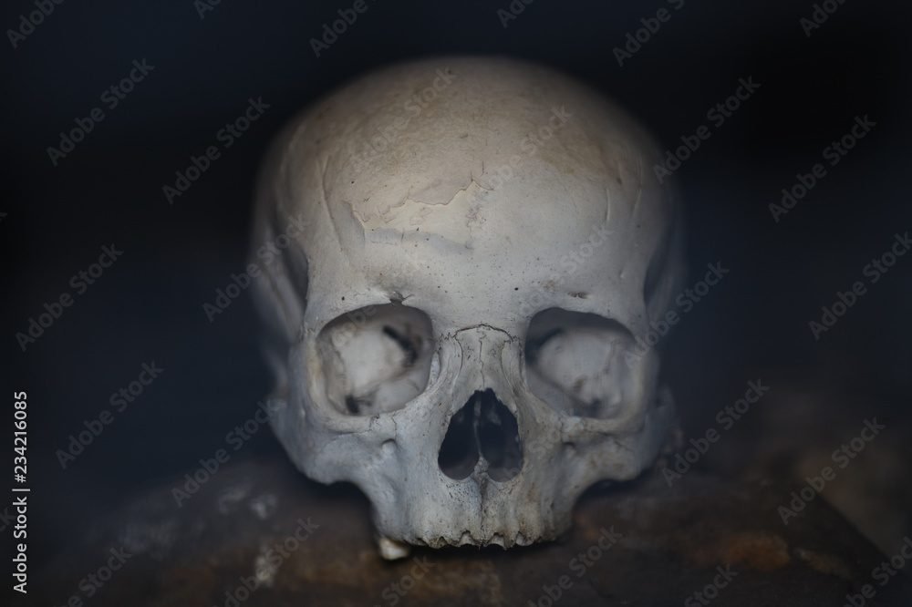 The human skull in an ancient burial in the mountains of Ingushetia.