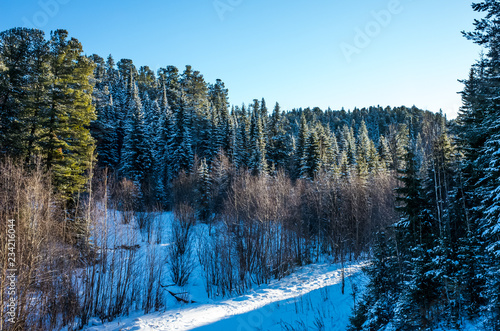 Winter frosty landscape