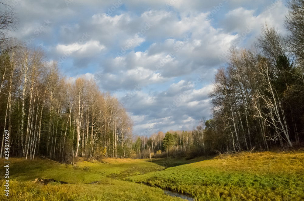 landscape: trees with yellow foliage against a bright blue cloudy sky during sunset landscape: trees with yellow foliage against a bright blue cloudy sky during sunset