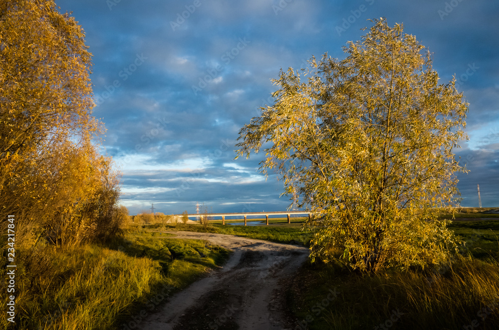 landscape: trees with yellow foliage against a bright blue cloudy sky during sunset