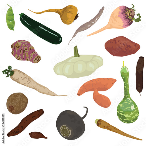 set of vegetables on a white background