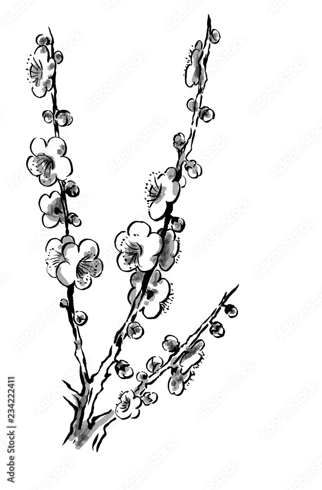 梅の花 手描き線画イラスト Stock Illustration Adobe Stock 梅の花 手描き線画イラスト Stock Illustration Adobe Stock