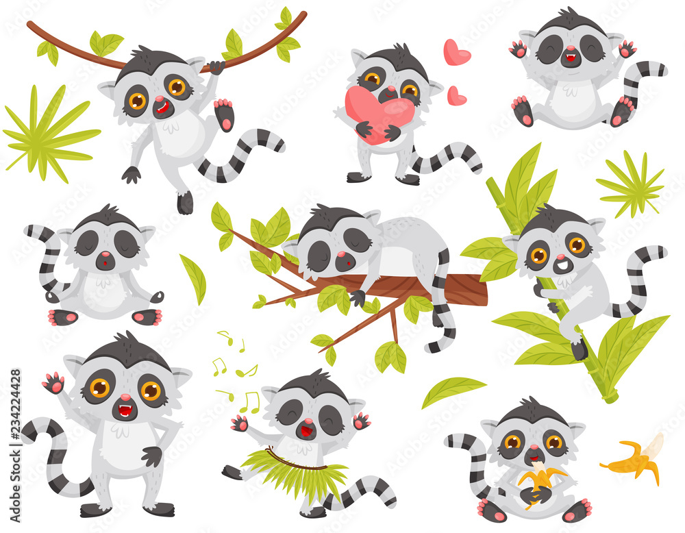 Flat vector set of cute lemur in different actions. Exotic animal with long tail and big shiny eyes Flat vector set of cute lemur in different actions. Exotic animal with long tail and big shiny eyes