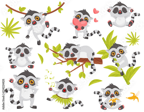 Flat vector set of cute lemur in different actions. Exotic animal with long tail and big shiny eyes