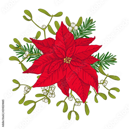 Christmas bouquet made of poinsettia, fir and mistletoes. Vector objects on white background.