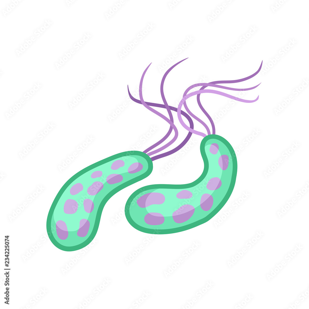 Virus of cholera. Pathogenic bacteria. Infectious disease. Microbiology theme. Flat vector design Virus of cholera. Pathogenic bacteria. Infectious disease. Microbiology theme. Flat vector design