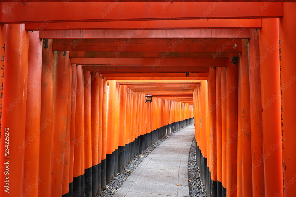 Fototapeta premium 伏見稲荷大社