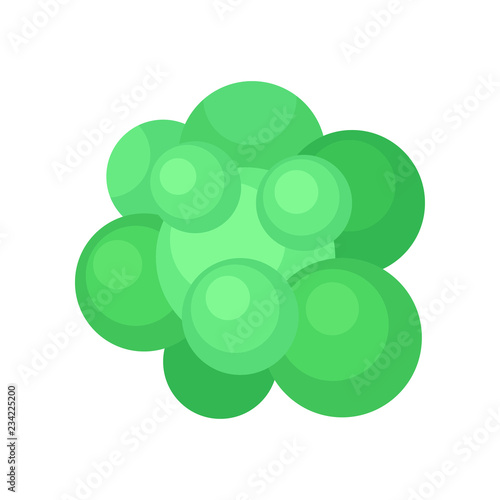 Structure of staphylococcus aureus virus. Dangerous bacteria under microscope. Flat vector icon