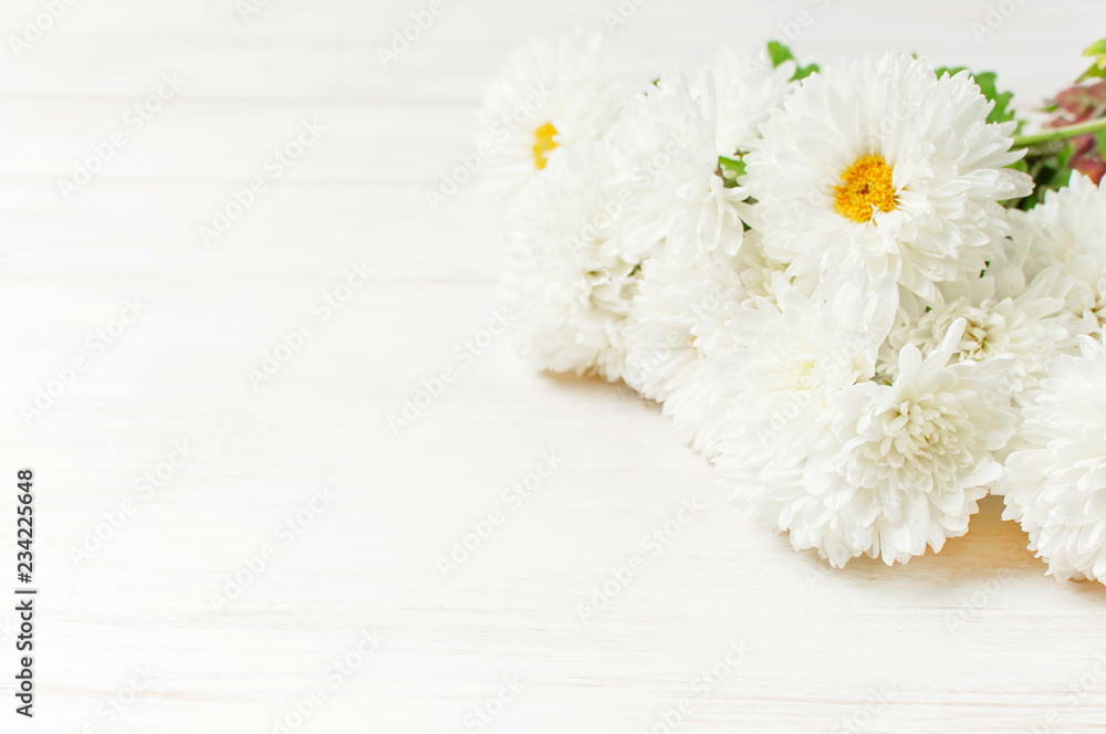 Obraz premium White autumn chrysanthemum flowers on white wooden background Copy Space. Chrysanthemum wallpaper. Floral background. Autumn bouquet lifestyle
