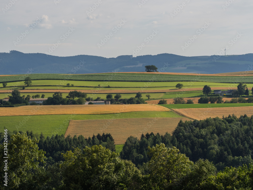 Landscape farming fields
