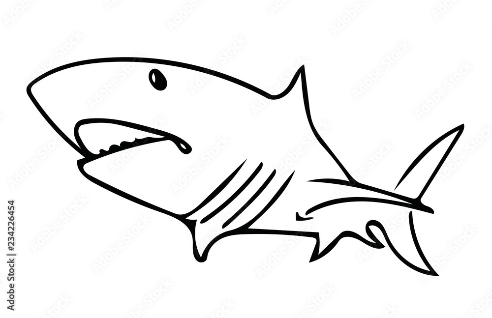 Shark Shark