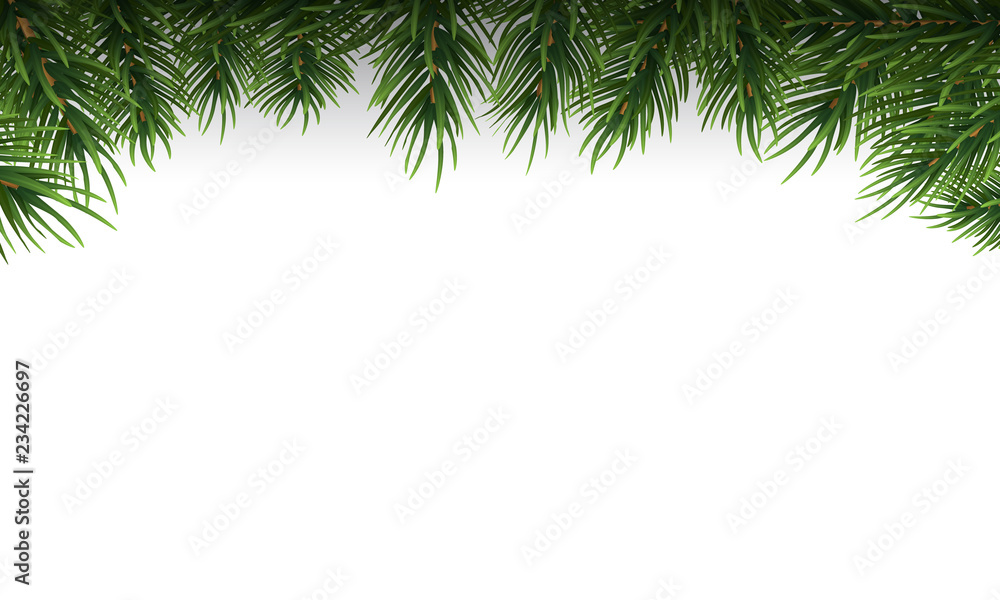 Christmas Tree Branches Border on White Background Stock Image
