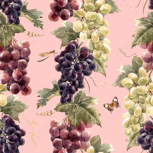 Watercolor grape vector pattern